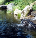 A. Waterfall flows into lagoon